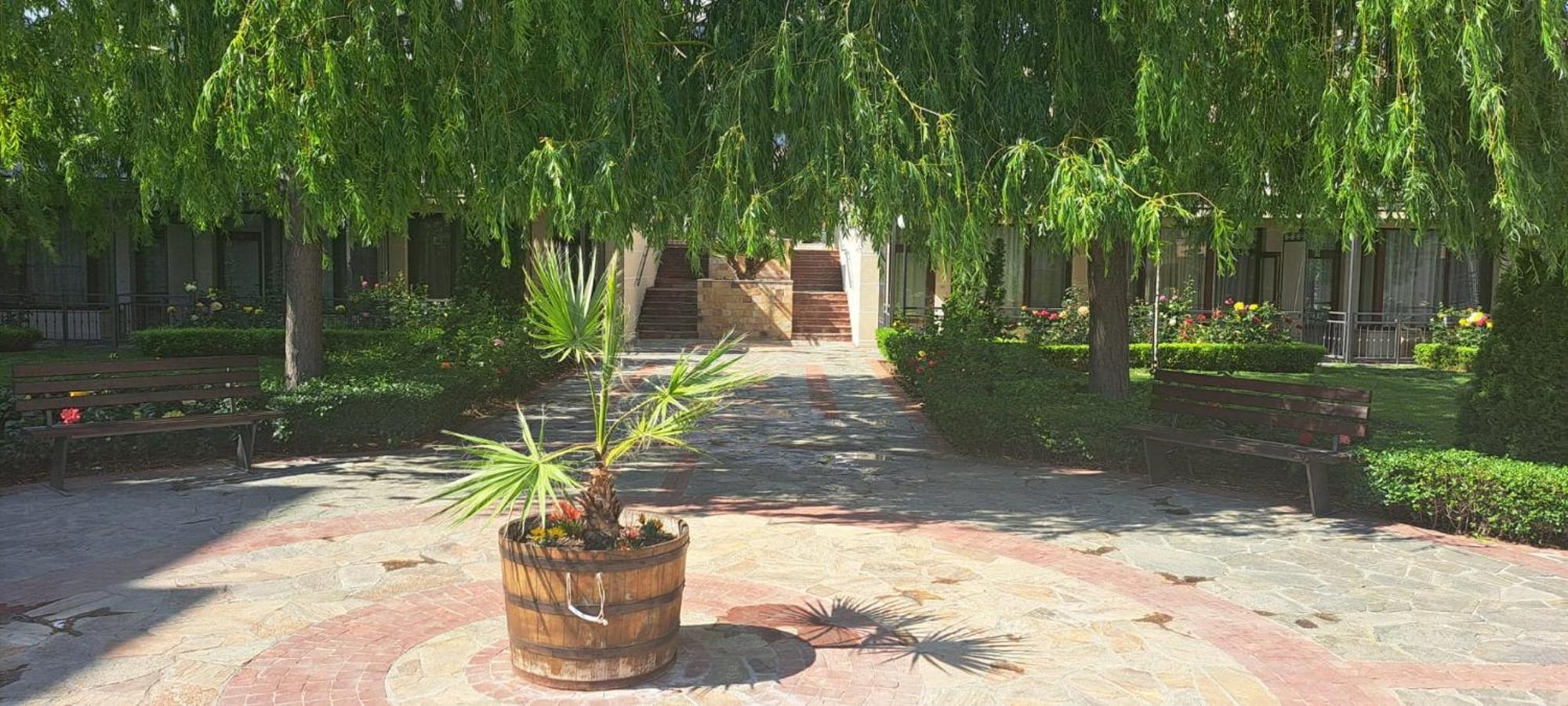 Patrick'S Apartments - Sorrento Sole Mare, Sveti Vlas Εξωτερικό φωτογραφία