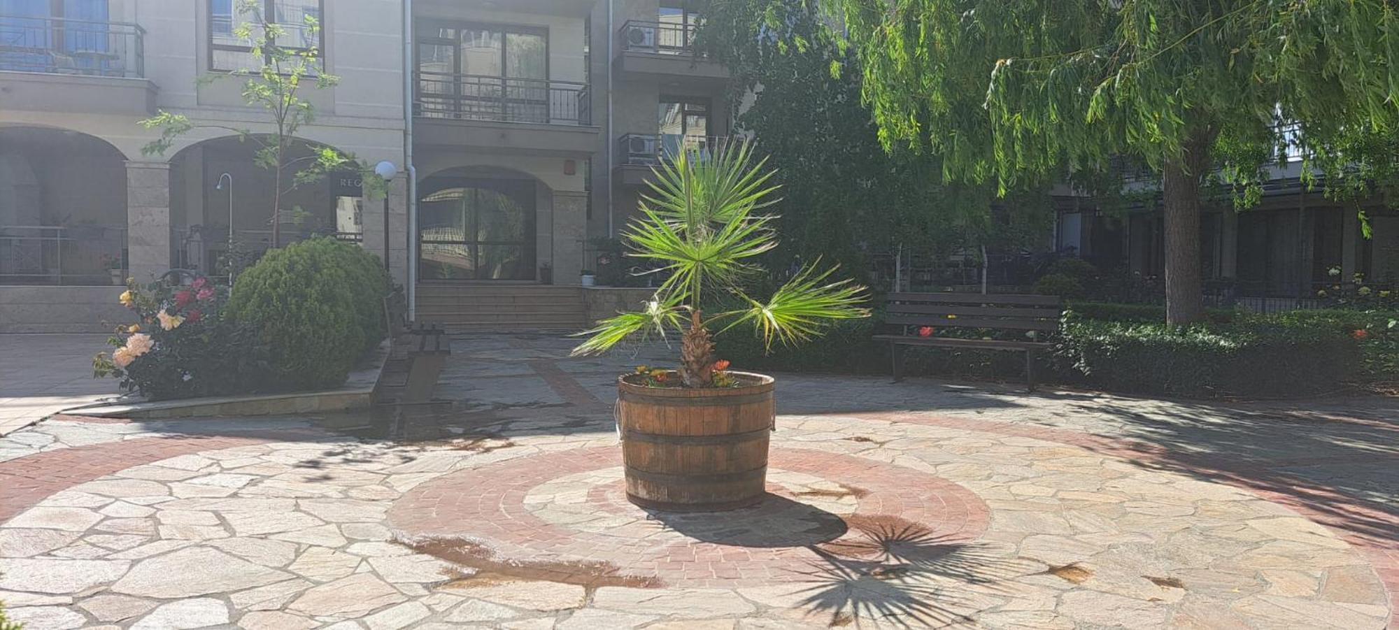 Patrick'S Apartments - Sorrento Sole Mare, Sveti Vlas Εξωτερικό φωτογραφία